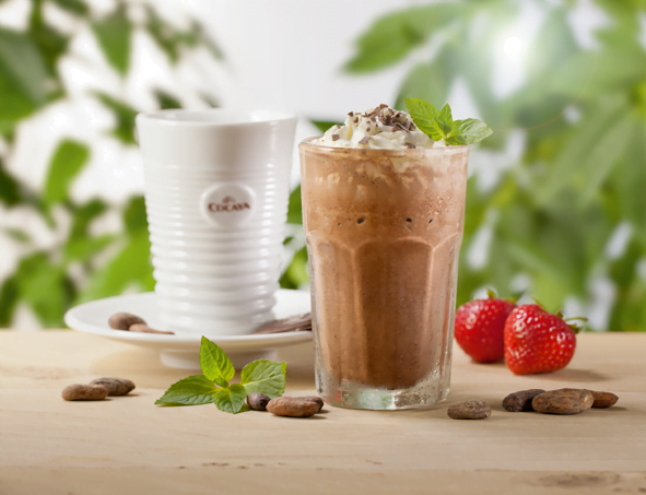 COCAYA Premium Brown - obrazek 2