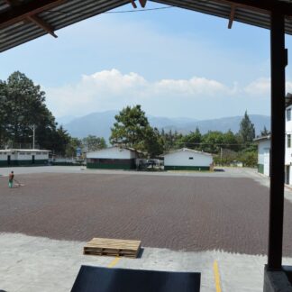 Guatemala Organic SHB EP Finca El Catuai