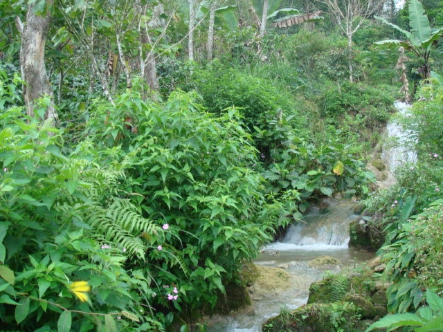 Indonesia Sulawesi Toraja (przelew) - obrazek 2